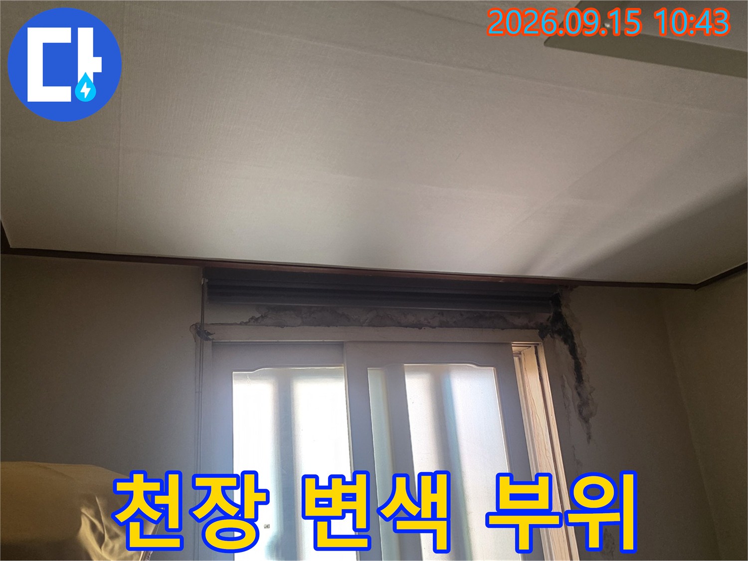 서초구 양재동 현장의 천장 벽지 누수 변색 상태