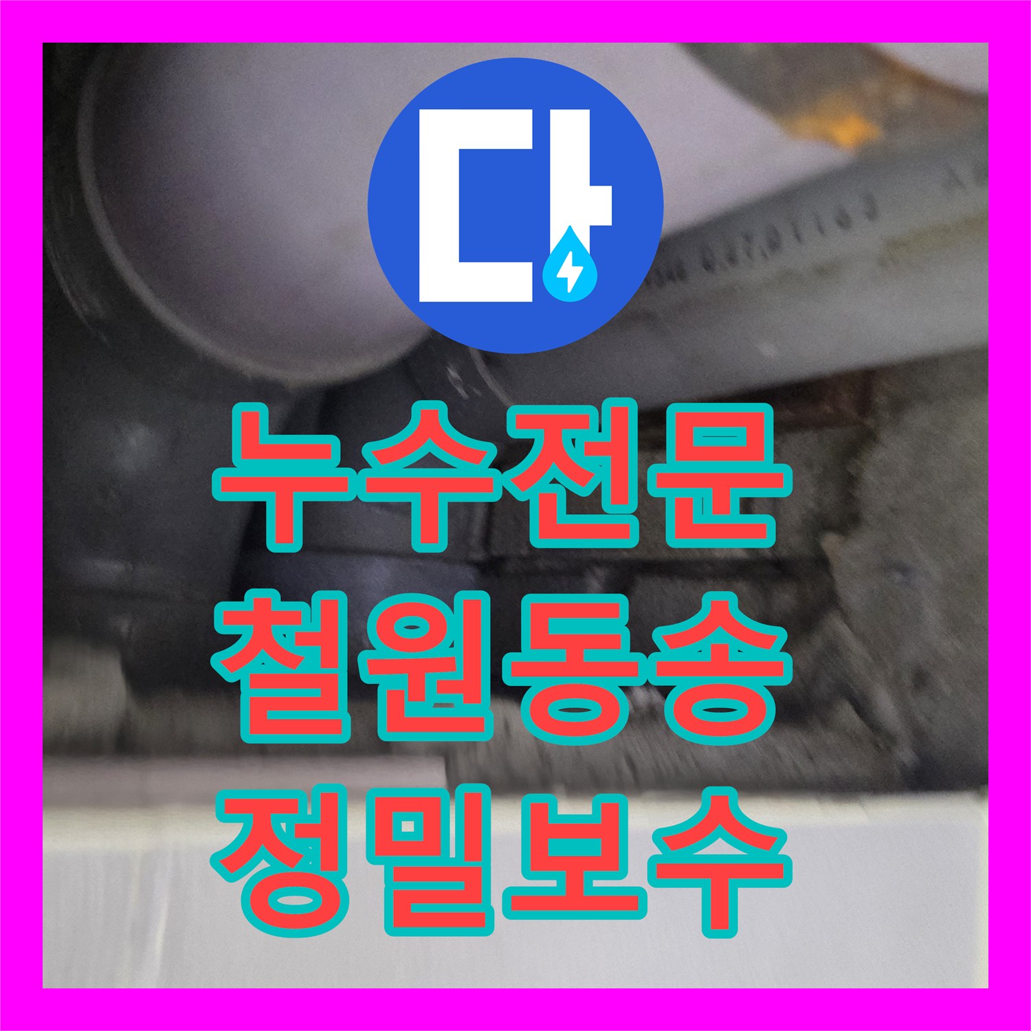누수전문 천장 점검구 확인부터 벽면 배관 교체까지 진행한 강원특별자치도 철원군 동송읍 현장
