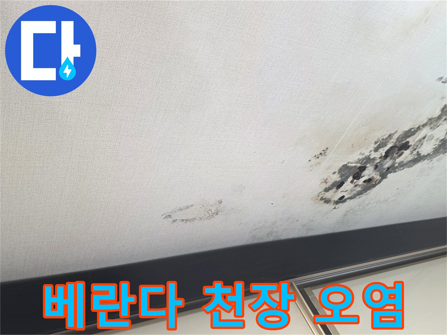 천장 마감재 부위에 넓게 퍼진 곰팡이와 젖은 자국