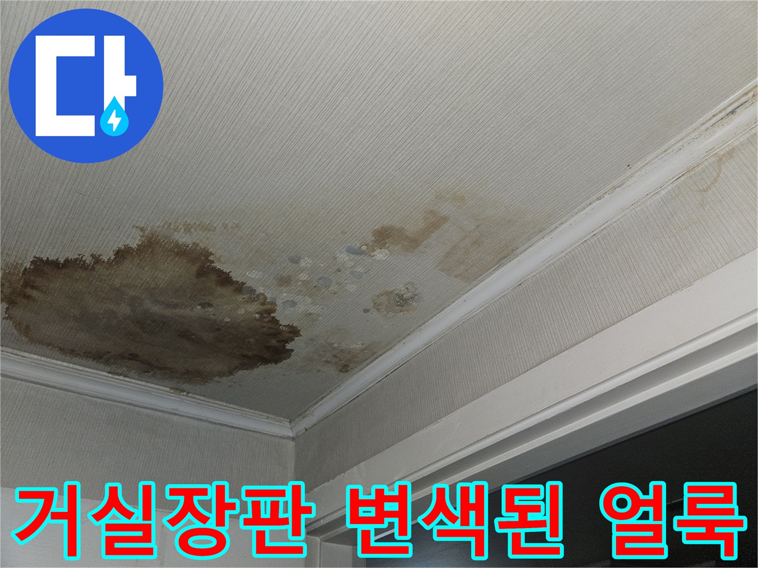강서구 등촌동 현장-거실 장판에 발생한 누수 흔적과 변색된 부위